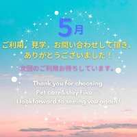 画像252
