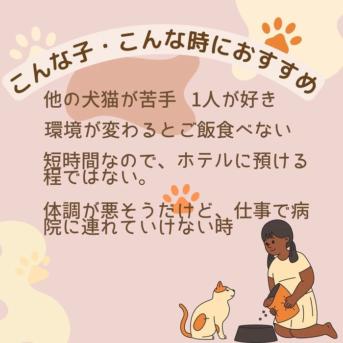 画像257