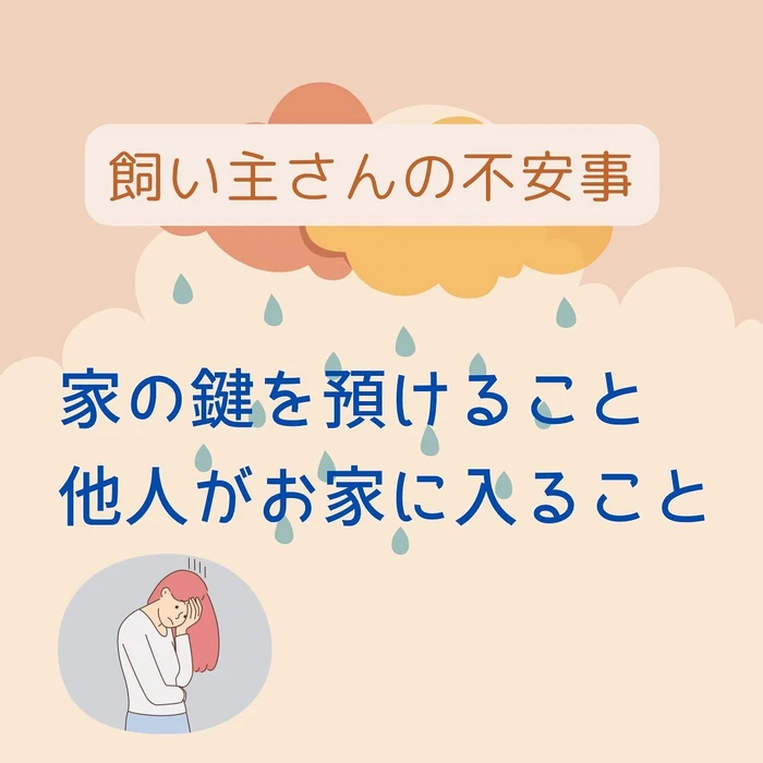 画像258