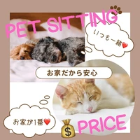 画像261
