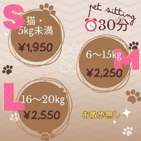 画像262