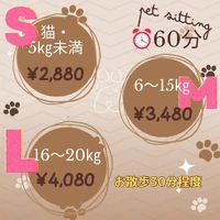 画像264