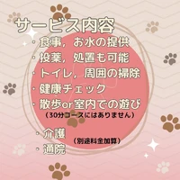 画像267