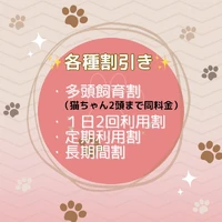 画像268