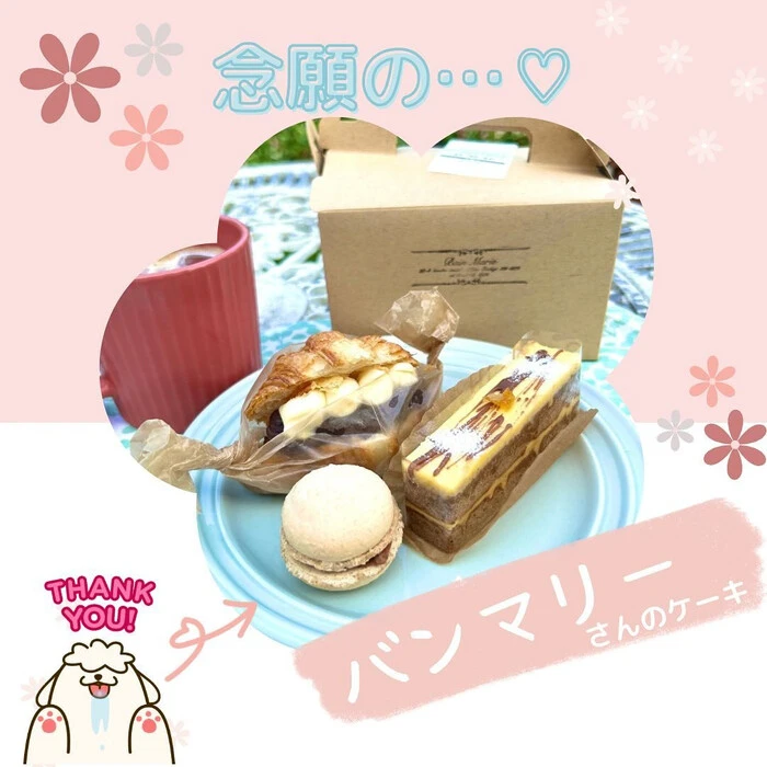 画像270