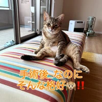 画像272