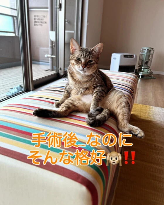 画像272