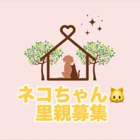 画像278