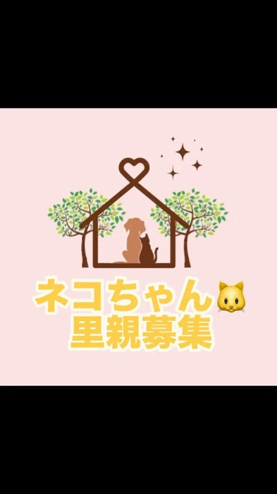 画像278