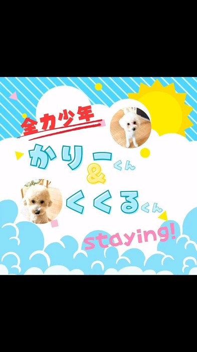 画像286