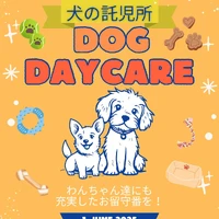 画像348